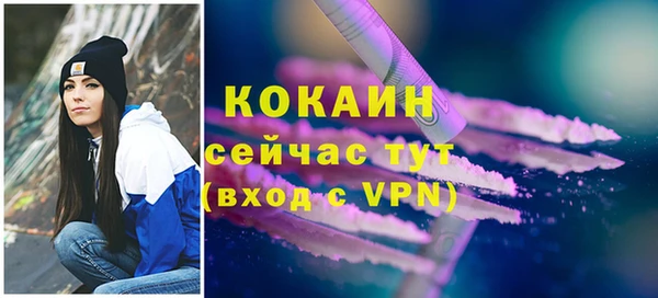 шишки Заволжск