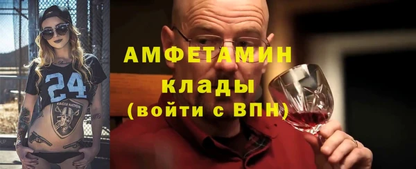 шишки Заволжск