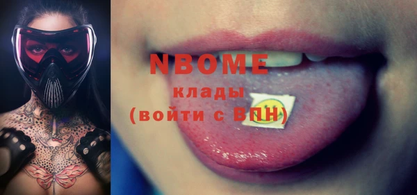 шишки Заволжск