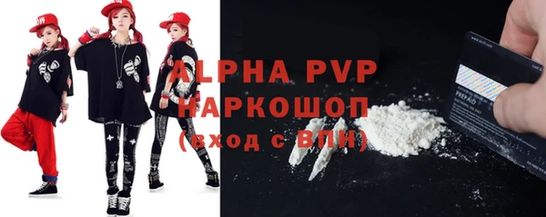 шишки Заволжск