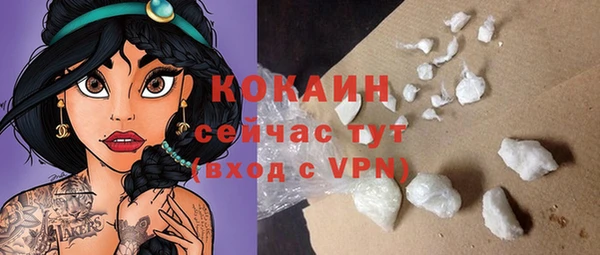 шишки Заволжск
