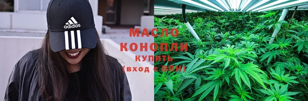 шишки Заволжск
