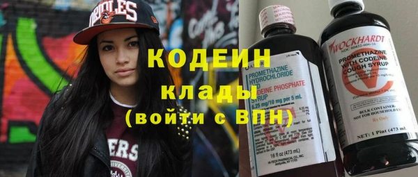 шишки Заволжск
