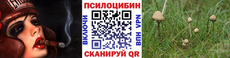 продажа наркотиков  Иннополис  Псилоцибиновые грибы Magic Shrooms 
