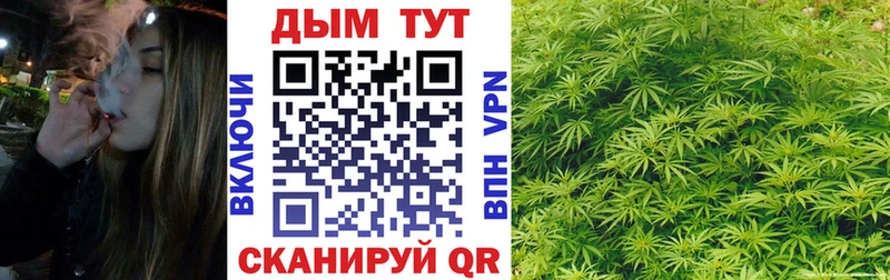 даркнет сайт  маркетплейс наркотические препараты  Канабис гибрид  Иннополис 